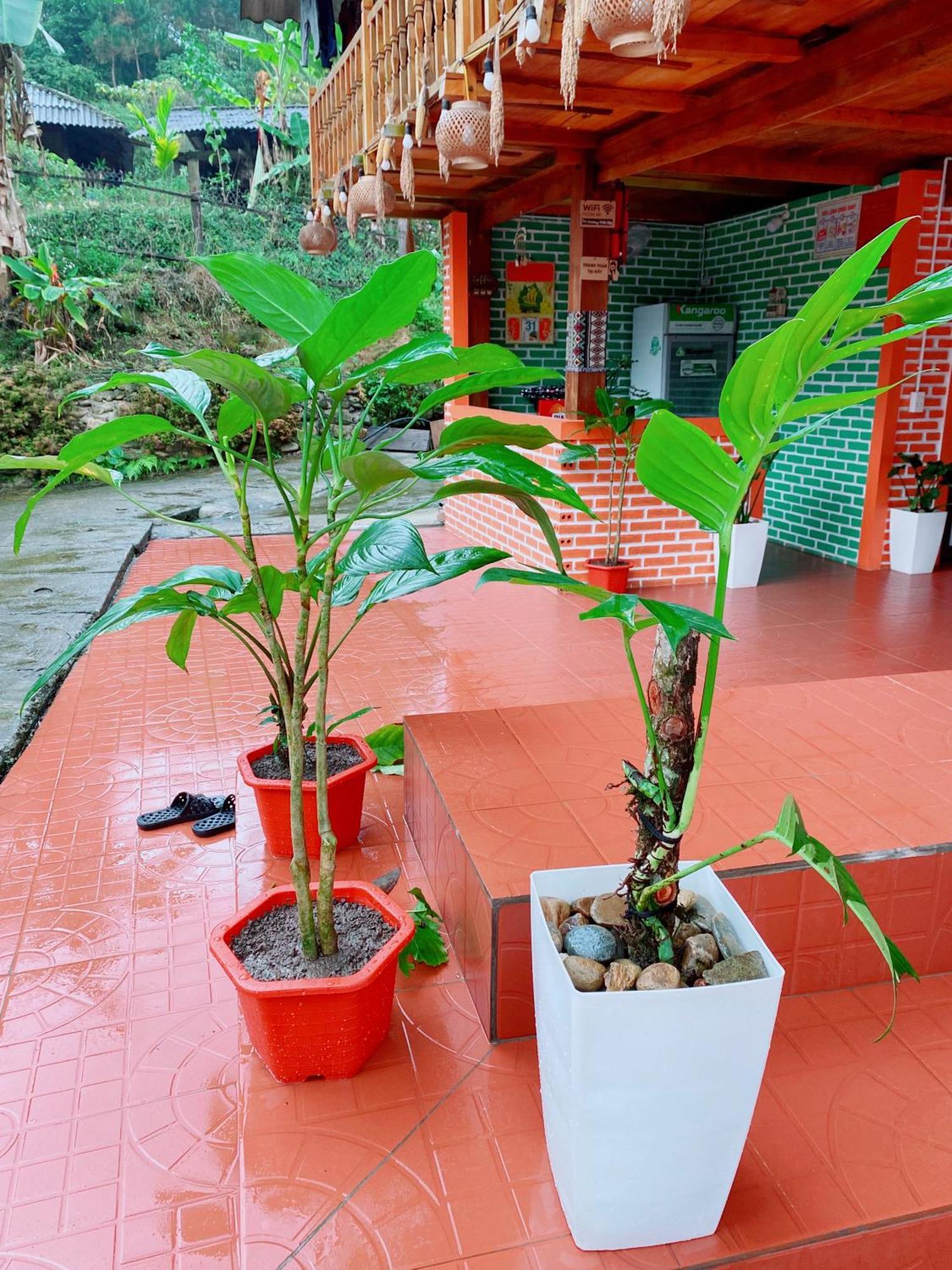 Duy Homestay Du Gia Làng Cac Buitenkant foto