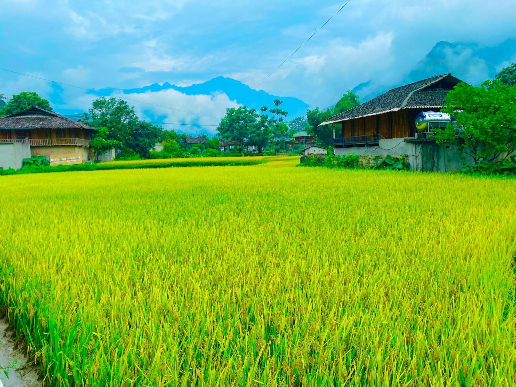 Duy Homestay Du Gia Làng Cac Buitenkant foto